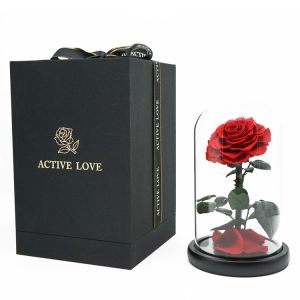 Everlasting Preserved Rose Glass Dome Bring A Unforgettable Experience