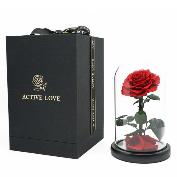 Quality Everlasting Preserved Rose Glass Dome Bring A Unforgettable Experience wholesale
