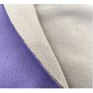 Two sides brushed two sides anti-pilling good thermal superior handfeel for