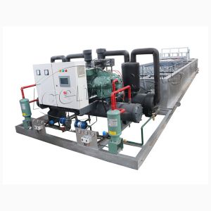 5T Brind Machine Shape Refrigerator Ice Block Moulding Machine