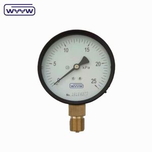 China Capsule Pressure Gauge 100 Mbar Bellows Manometer 100mm G1/2 on sale