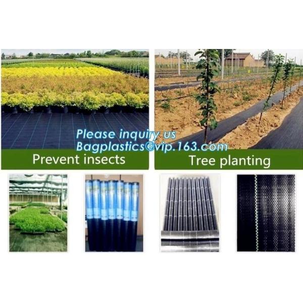 Quality plastic agricultural mulch film, weel control fabric roll,prevent weed growing,weed barrier fabric,Weed Control Folding wholesale