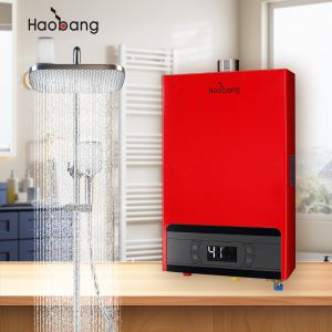 NG 2000Pa /LPG 2800Pa Power Vented Gas Water Heater With Energy Savings And