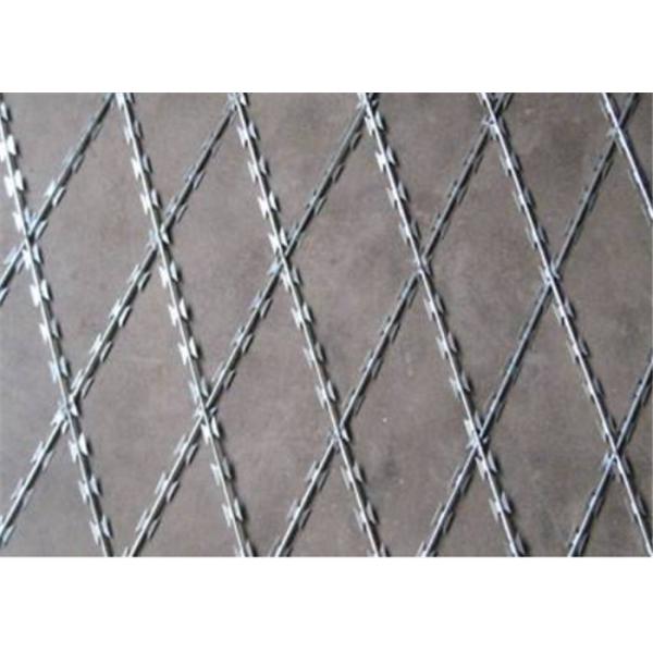 Sharp Blades Welded 700 800 900mm Coil Razor Mesh Fence
