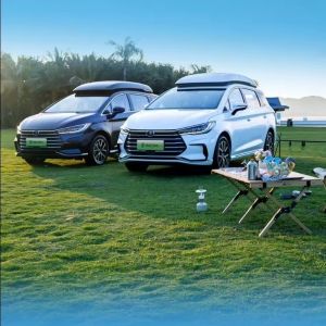 Battery Type Lithium Iron Phosphate SUV Electric Long Range Cars Byd Song Max
