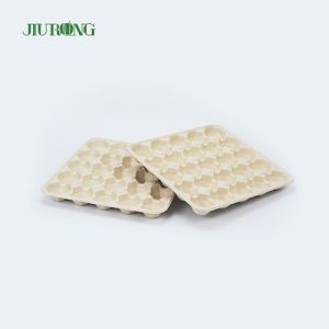 Greaseproof Paper Sugarcane Food Container Recycled Biodegradable Egg Tray