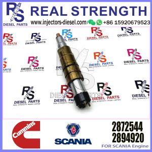 Diesel Common rail fuel injector 2872405 2872544 2894920 2897320 for SCANIA