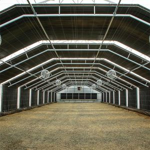 Commercial Multi-span Polytunnel Light Deprivation Greenhouse With Shade Net