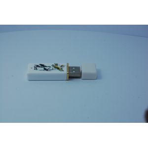 Usb Flash drive,Usb Flash Memory,5 years warranty