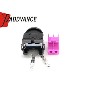 China 2 Pin EV1 Fuel Injector Connectors 443906232 For Audi A6 A4 VW Passat V6 on sale