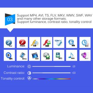 Professional EasyCap USB2.0 SD Capture Card With IOS Support