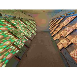 P10 Ultra Thin Transparent LED Screen for Creative Architectural Design Format