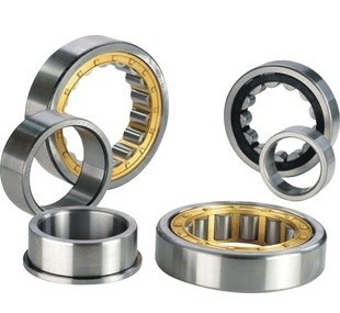 NSK / NTN Cylindrical Roller Bearing N202 11mm Width ISO9001 2008