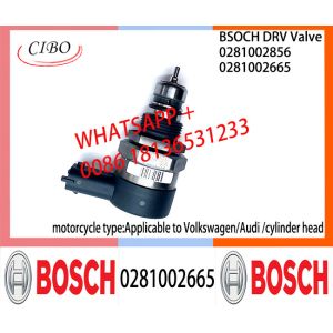 BOSCH DRV Valve 0281002665 Control Valve 0281002665 For Applicable to Volkswagen