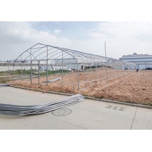 China Poly Plastic Polytunnel Greenhouse Good Light Transmittance For Seedling on sale