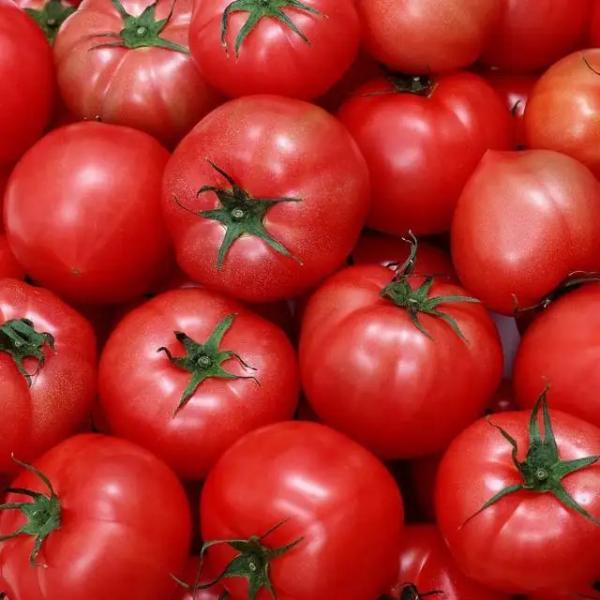 Customized Voltage Fruit Jam Paste Sauce Processing System 10g Bag 220L Aseptic