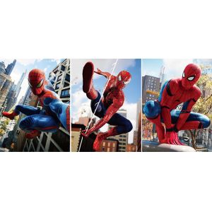 TRUMP Designs Printing Customized 3D PET Lenticular Poster 3D Lenticular