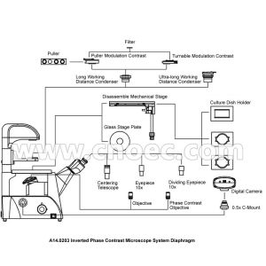 Infinity Objective Inverted Optical Microscope Phase Contrast Microscope Bright