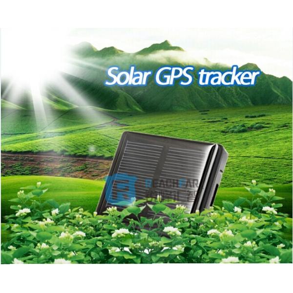 Quality Mini solar gps tracker waterproof for animal tracking device reachfar RF-V26 wholesale
