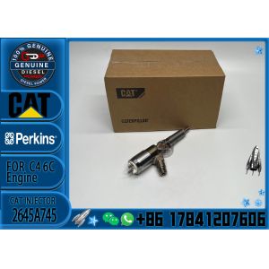 Excavator parts CAT E 311D 312D 314D 313D 320D C4.2 Engine Fuel Injector Nozzle