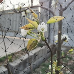 Anti-bird 40mesh PP Agricultural Insect Net for Greenhouse Vegetables Fruit