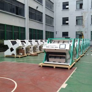 China CCD grain processing machinery peanut soybean color sorting machine