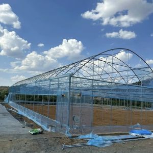 China Arch Type Plastic Agriculture Greenhouse for Tomato/Cucumber Strawberry with Hydroponics Growing System on sale