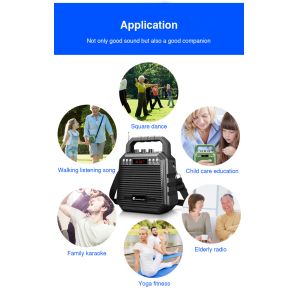 Wireless Bluetooth Speaker Echo Recorder Portable Trolley Speaker UHF 2.4Ghz