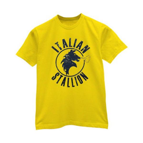 Custom Printed Blank T Shirts 160 Grams Plain Dyed