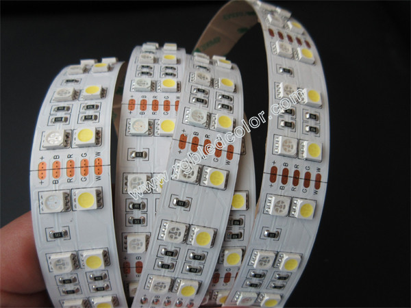 Quality 120led/m double row 5050 rgb+w cct dimmable strip wholesale