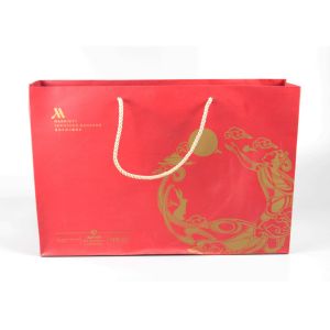 Multi Color Gift Shopping Bags Pantone CMYK Printing With PP Rope Handles