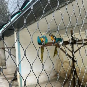 Cheap 1.6mm Diameter 50mm Aperture Stainless Steel Rope Mesh Netting For Zoo Enclosure Mesh for sale