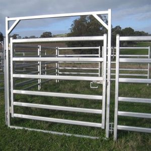 China 10 Ft Australia Standard Livestock Fencing Panels Galvanized Metal on sale
