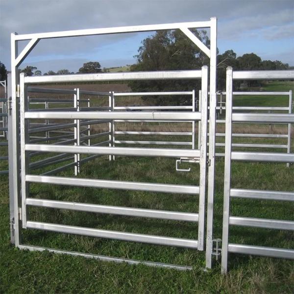 Quality 10 Ft Australia Standard Livestock Fencing Panels Galvanized Metal wholesale