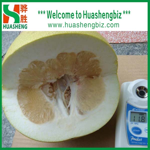 Quality Honey pomelo wholesale