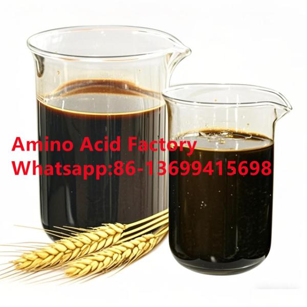 Quality Enzymatic Process 80% Concentration Amino Acid Liquid With Rich Nutrient For Soil Health And Foliar Application wholesale