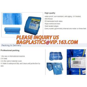 60gsm, 120gsm, 160gsm, 220gsm, 260gsm LDPE Laminated High Density Polyethylene