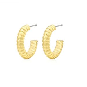 China Textured Snake Chain Hoop Earring in 925 Sterling Silver for Girls' Accessory Box on sale