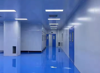 Steel Structure Modular Wall Ceiling Panels Cleanroom Projects Flexible Design