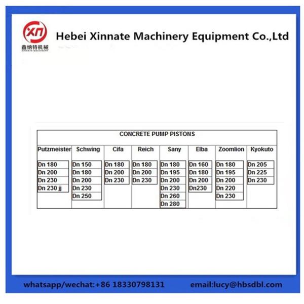 10161980 Schwing Concrete Pump Parts Integral Piston Rubber Piston Ram