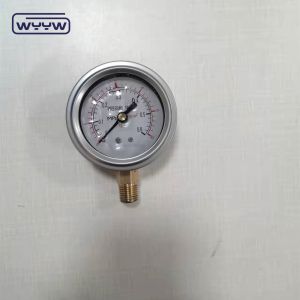 oem for free industrial pressure manometer penumatic 1/4"G radial connection