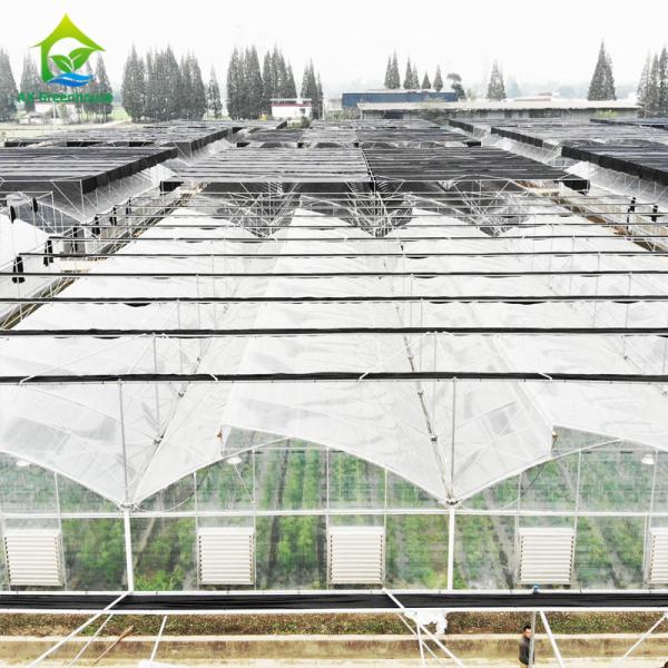 Quality Saw Tooth Multi Span Tropical Weather Plastic Film Greenhouse With Shading System wholesale