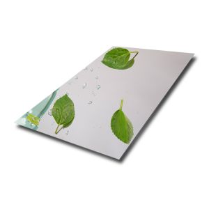 0.25mm SS Sheet Mirror Finish Cold Rolled Mill BA Surface Annealed 304