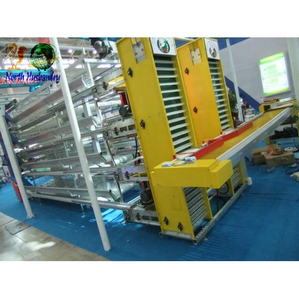 Quality egg laying poultry cages supply wholesale