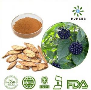 Cheap Food Grade 0.8% Siberian Ginseng P.E Herb Extract Powder for sale