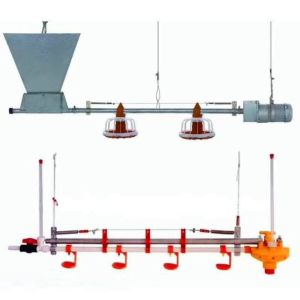 450kg/H Fully Automatic Chicken Feed Line With Hopper Galvanized Pipe