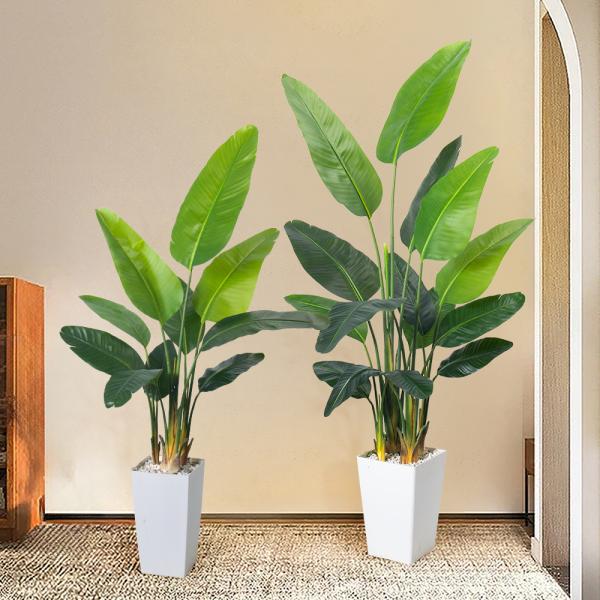 Artificial Bird of Paradise Plant 6.8FT - Luxury Faux Palm Tree in White Planter for Indoor Office Decor