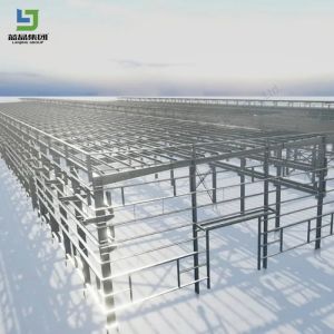 Customized Green Prefabricated Structural Light Steel Structure Building