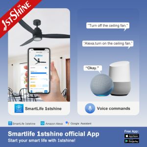 Lighting Solutions Service 1stshine Energy Saving 2 IN 1 Ceiling Fan with LED