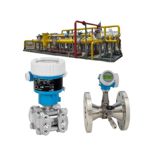 Flow control valve assembly with Endress+Hauser Proline Prowirl R 200 vortex